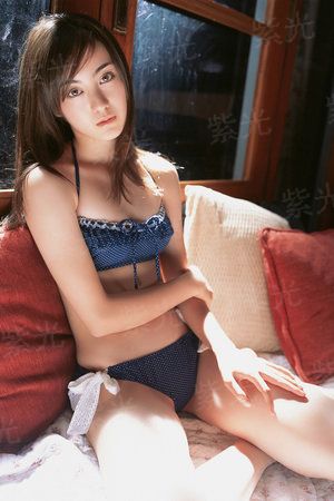 等君入梦